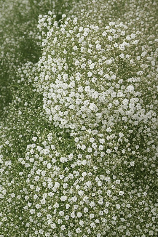 Brudslöja Snowflake